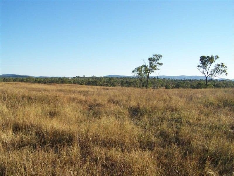 Lot 103 Stanwell-Waroula Road, ALTON DOWNS QLD 4702, Alton Downs - Thumbnail 4