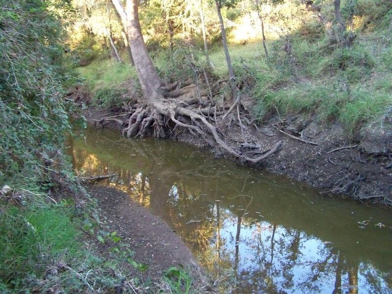 Lot 103 Stanwell-Waroula Road, ALTON DOWNS QLD 4702, Alton Downs - Thumbnail 5