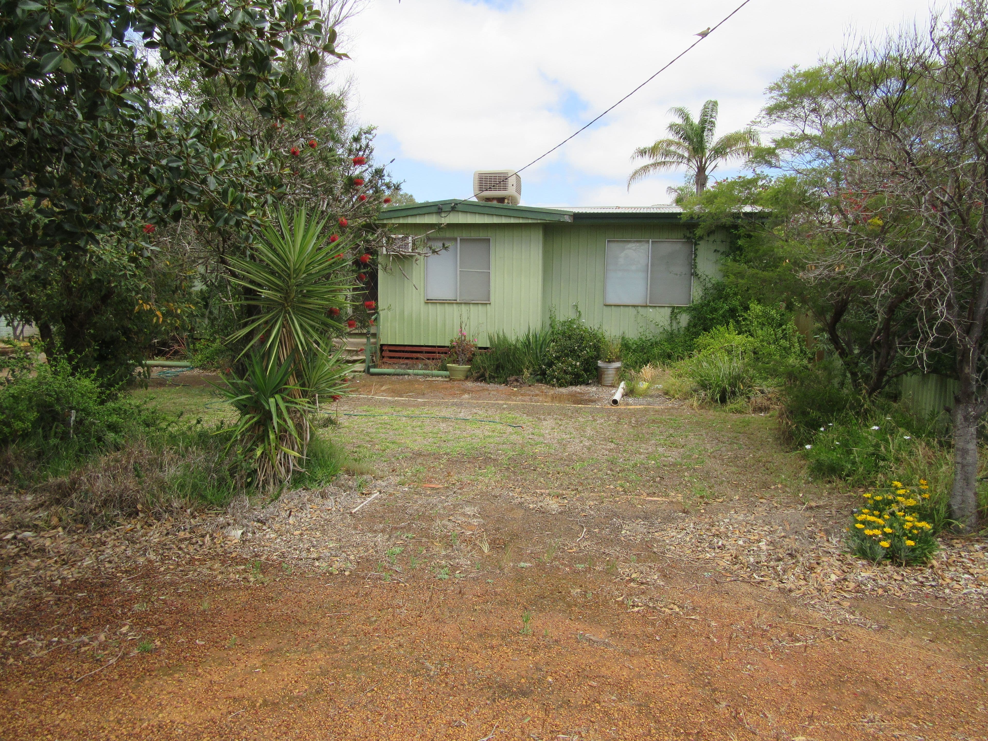50 Williamson Street, Three Springs WA 6519, Three Springs - Image 1