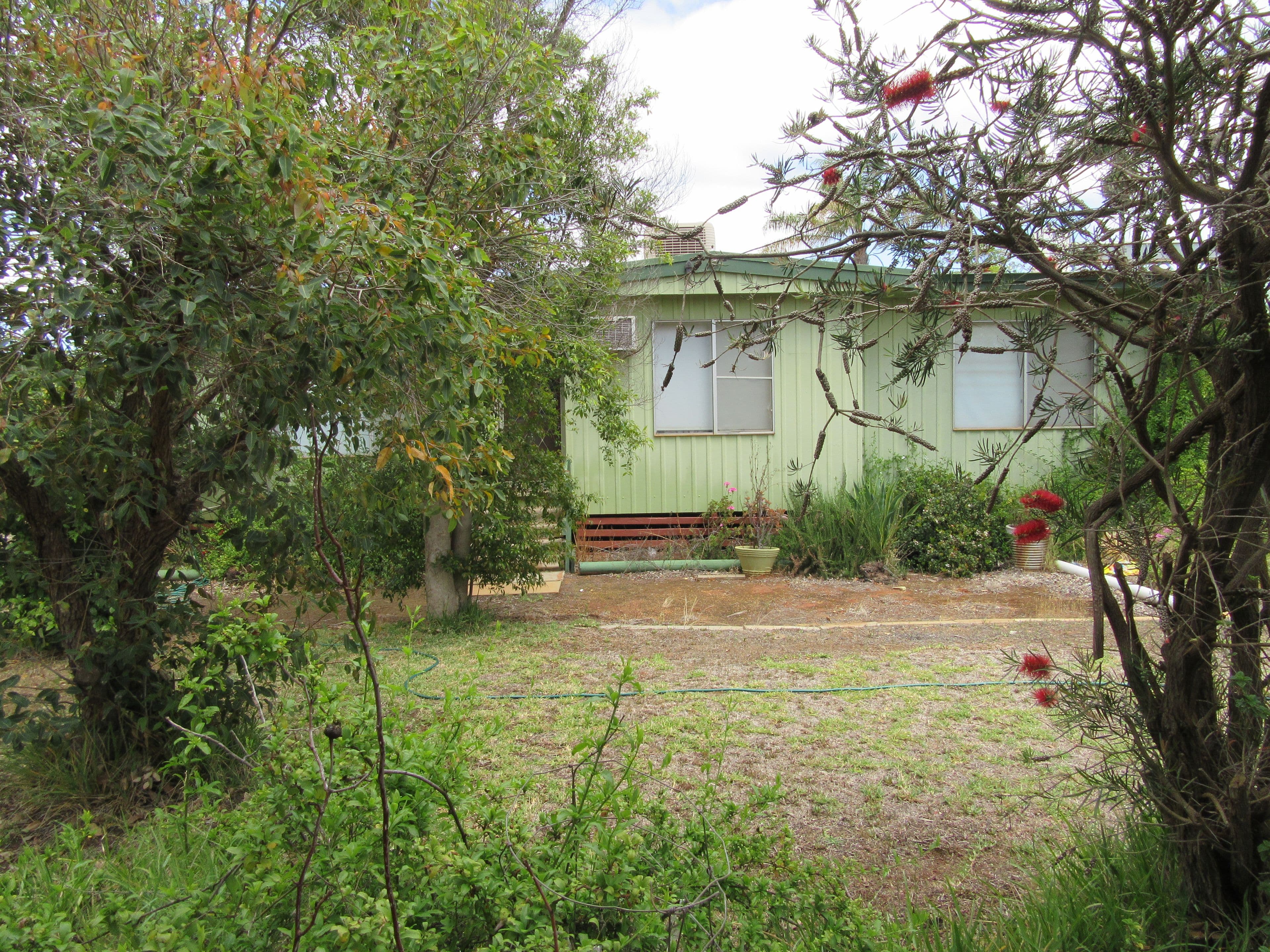 50 Williamson Street, Three Springs WA 6519, Three Springs - Thumbnail 2