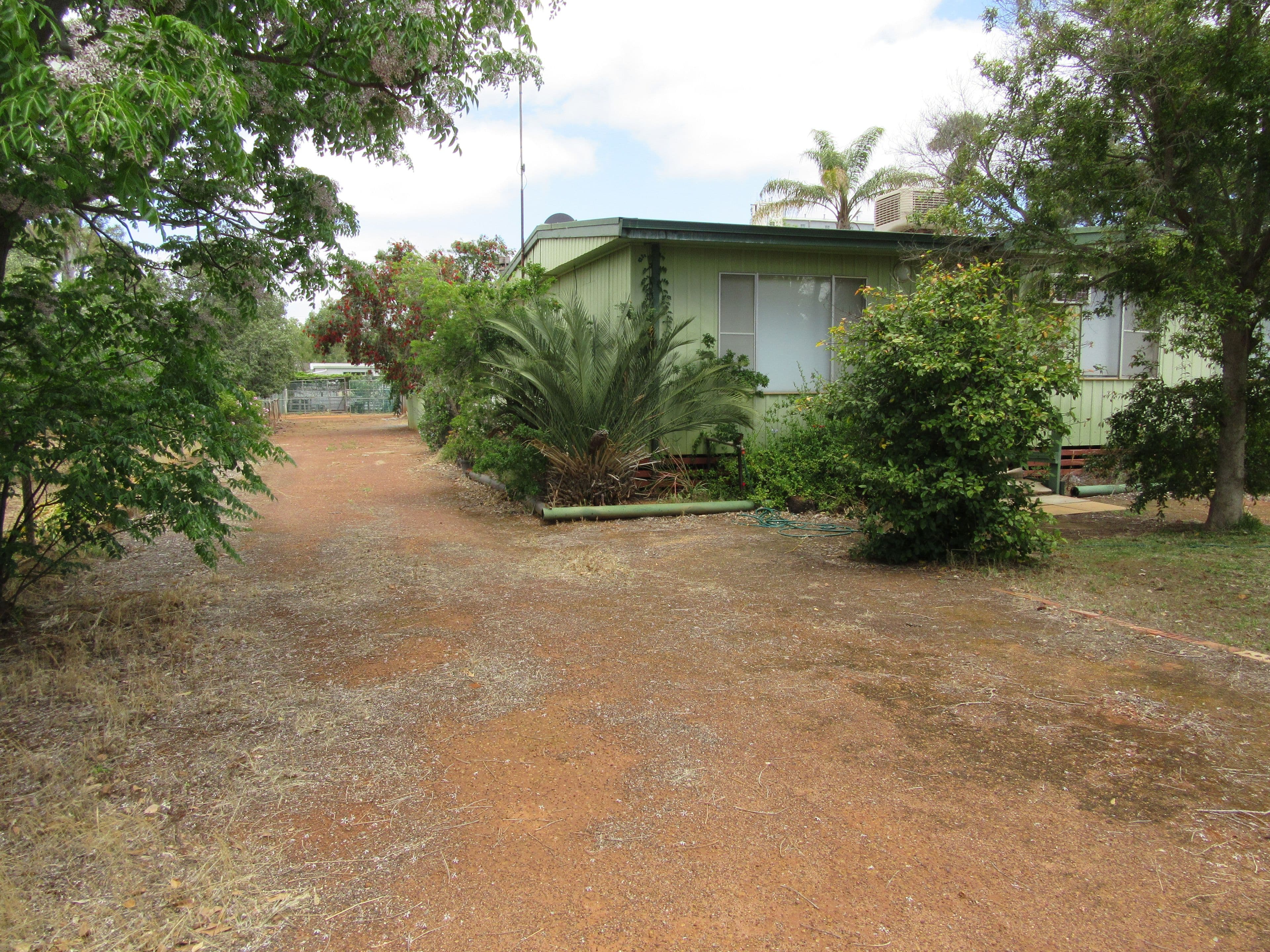 50 Williamson Street, Three Springs WA 6519, Three Springs - Thumbnail 3