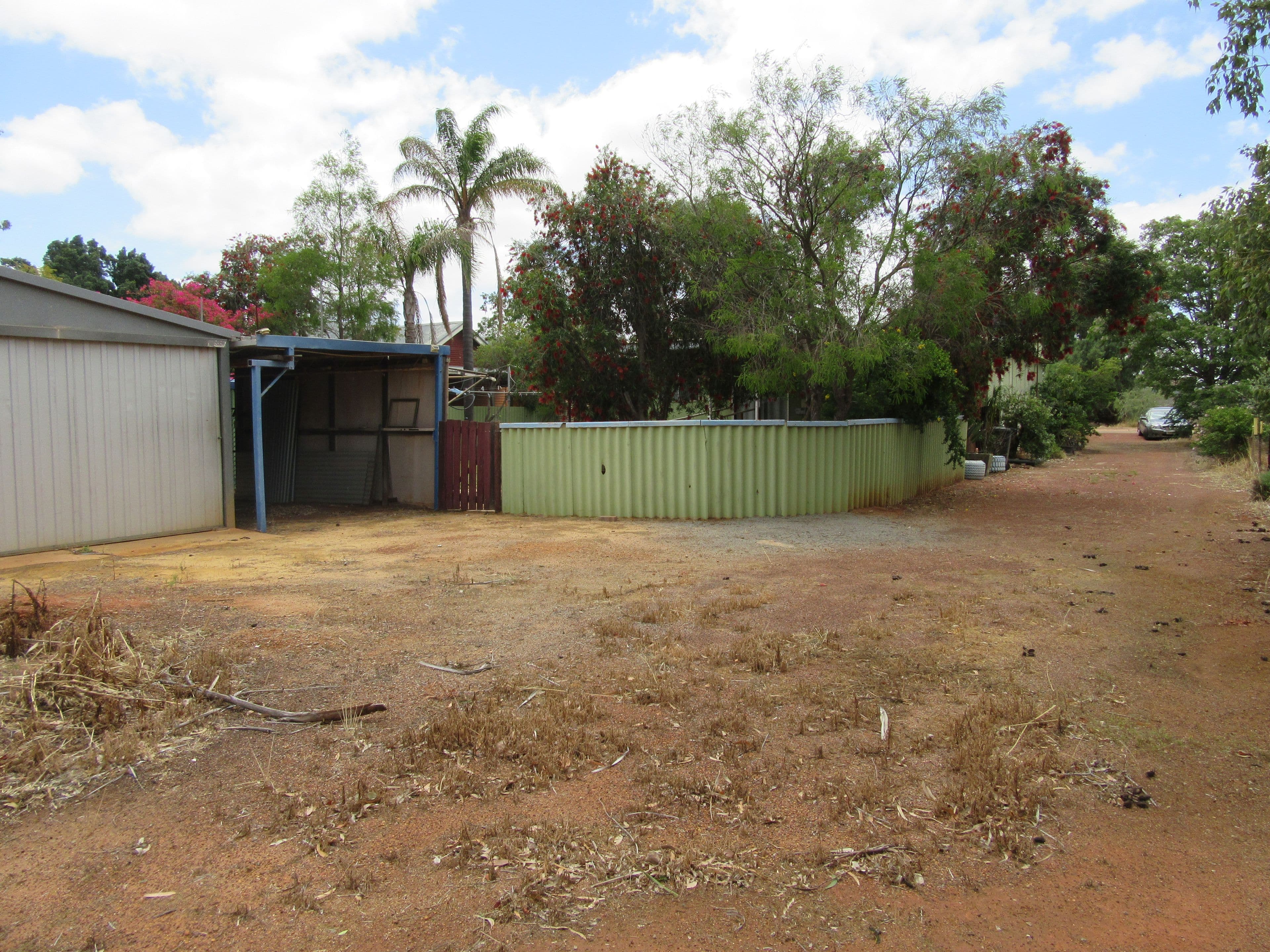 50 Williamson Street, Three Springs WA 6519, Three Springs - Thumbnail 6