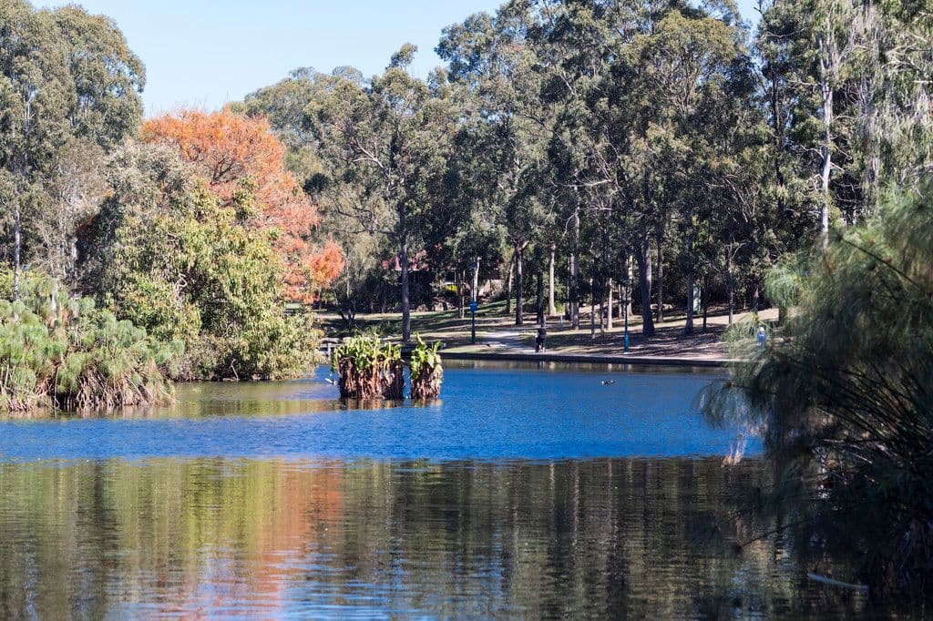 78 Wivenhoe Circuit, Forest Lake QLD 4078, Forest Lake - Thumbnail 3
