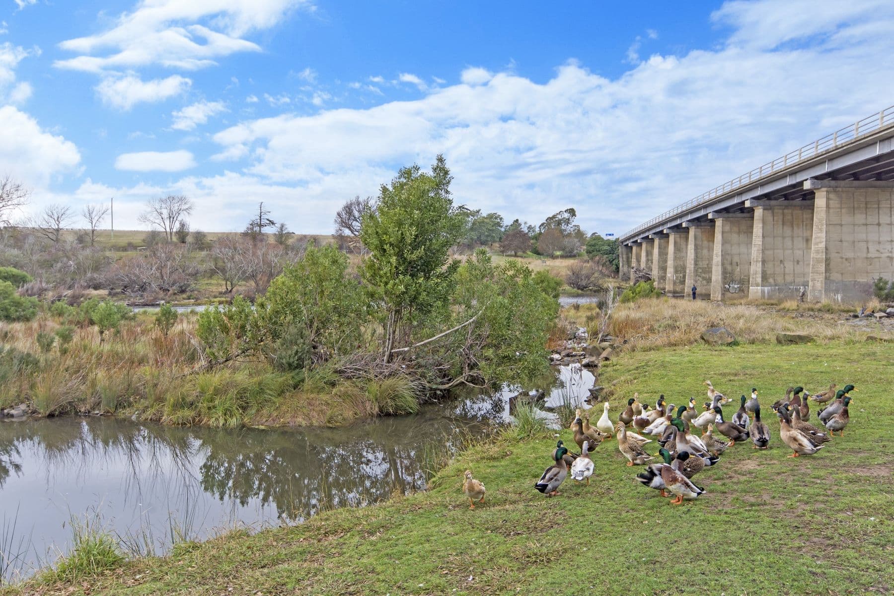 Lot 4 17 Youl Road, Perth TAS 7300, Perth - Thumbnail 8