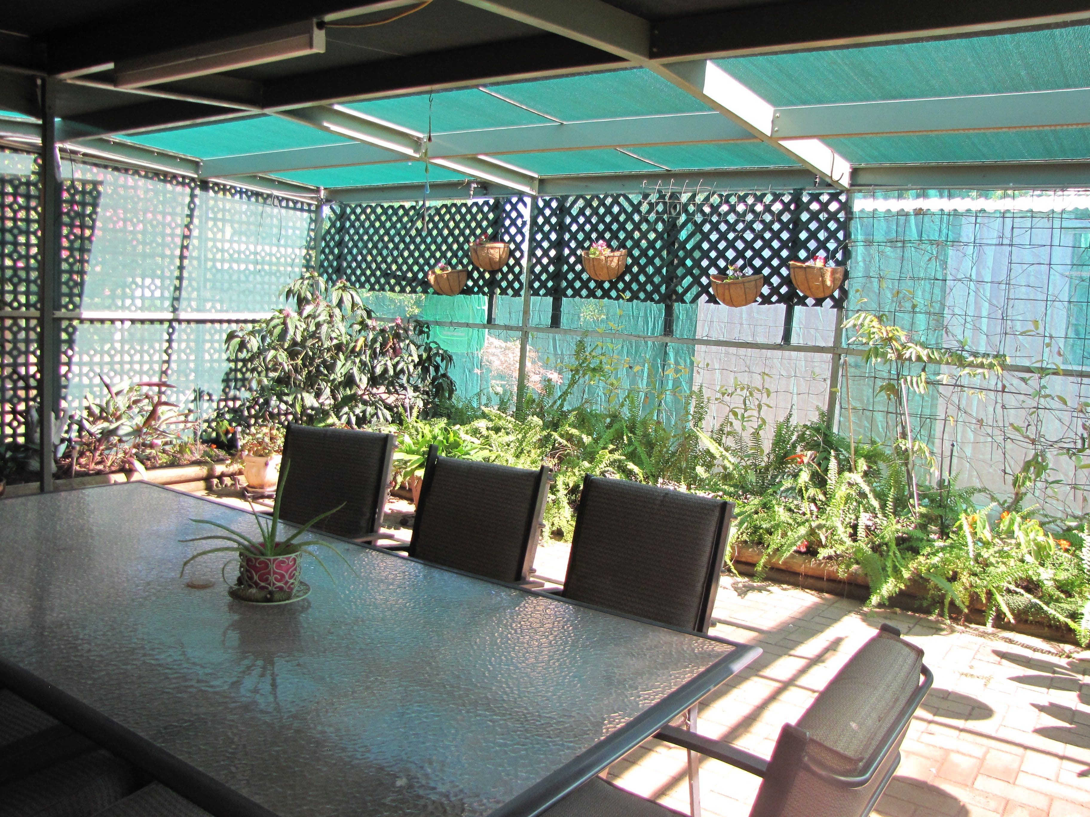 2 Waratah Court, Renmark SA 5341, Renmark - Thumbnail 7