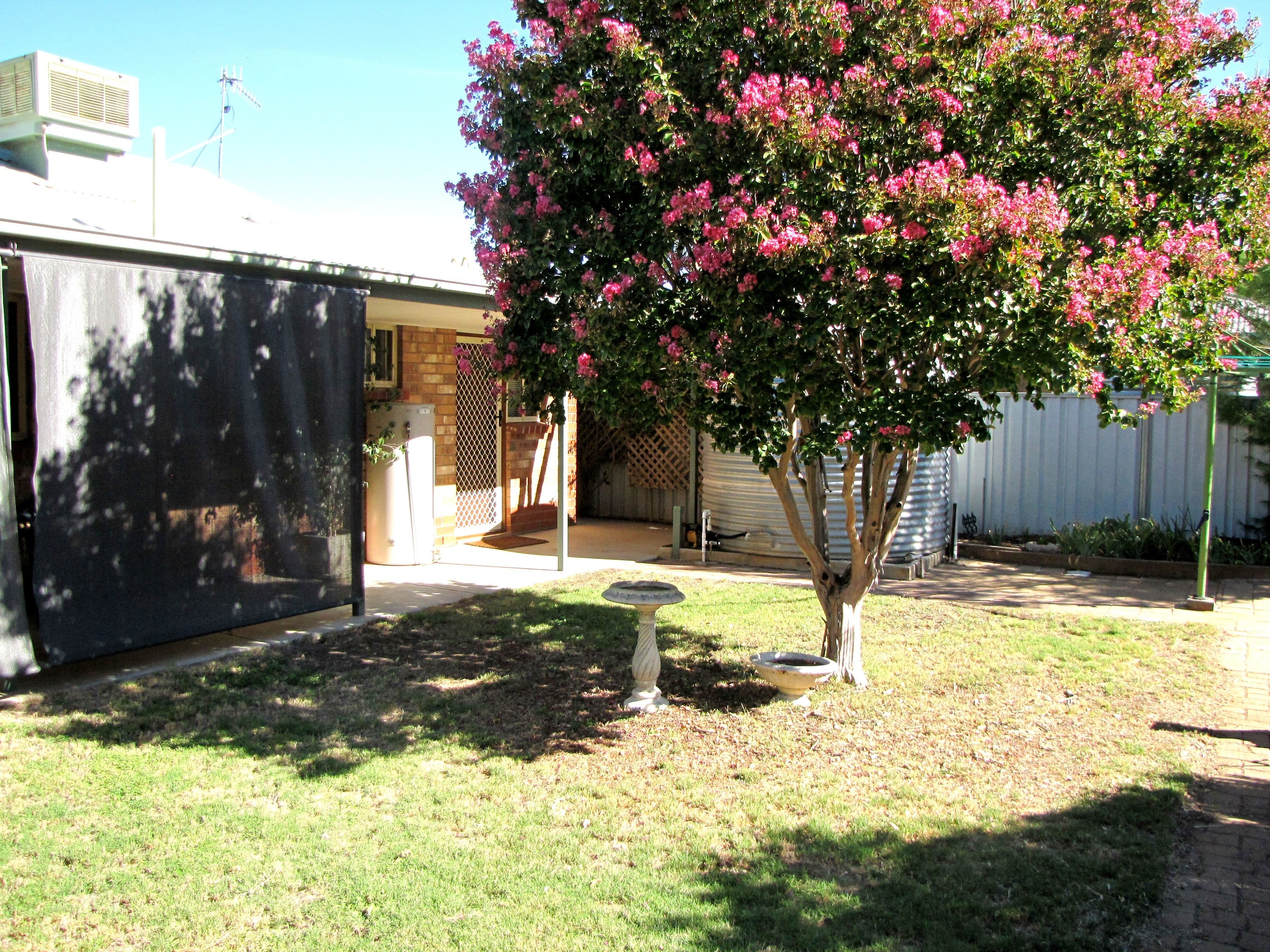 2 Waratah Court, Renmark SA 5341, Renmark - Thumbnail 8