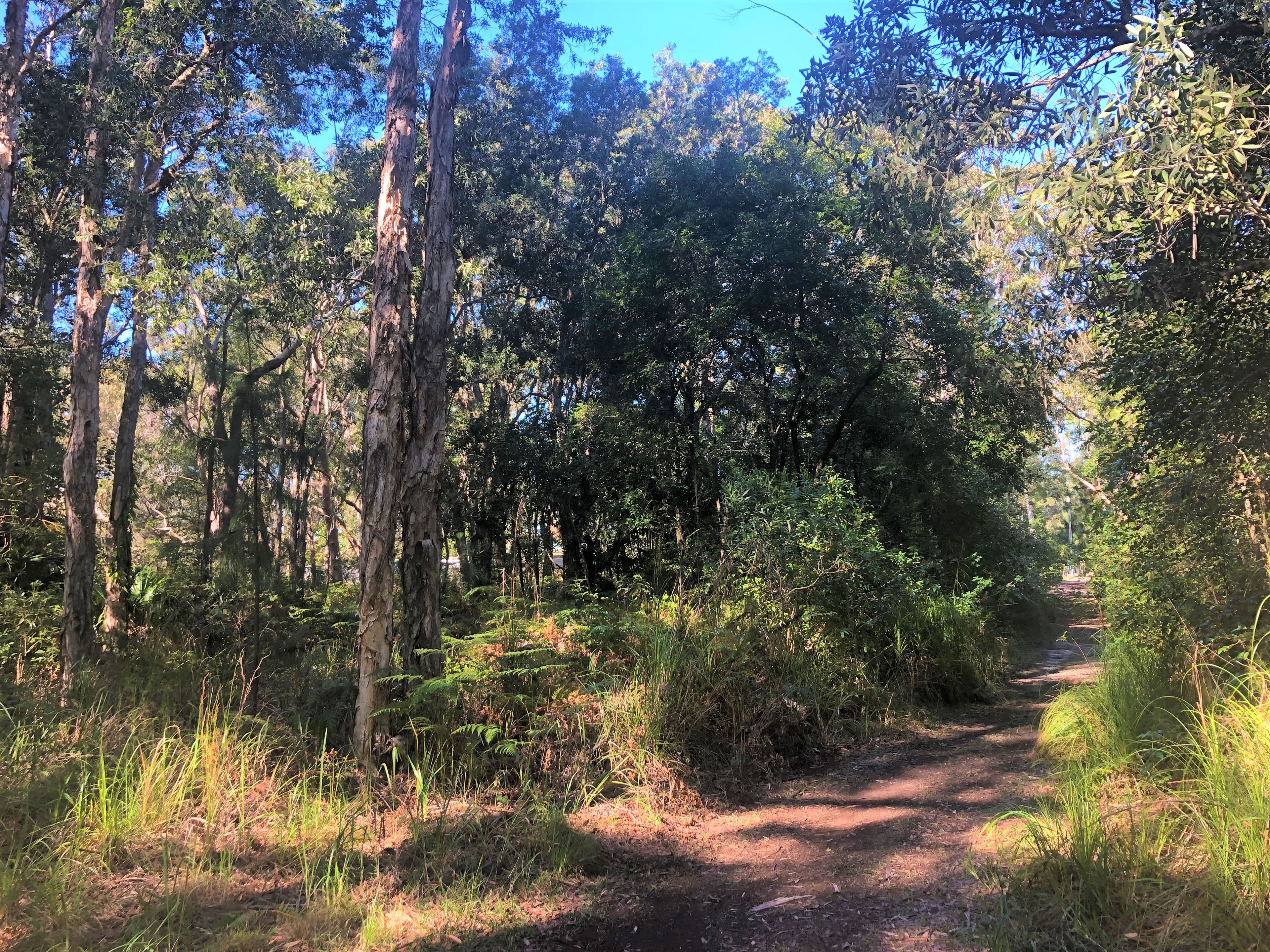 Lot 15 Calcal Street, Pindimar NSW 2324, Pindimar - Thumbnail 2