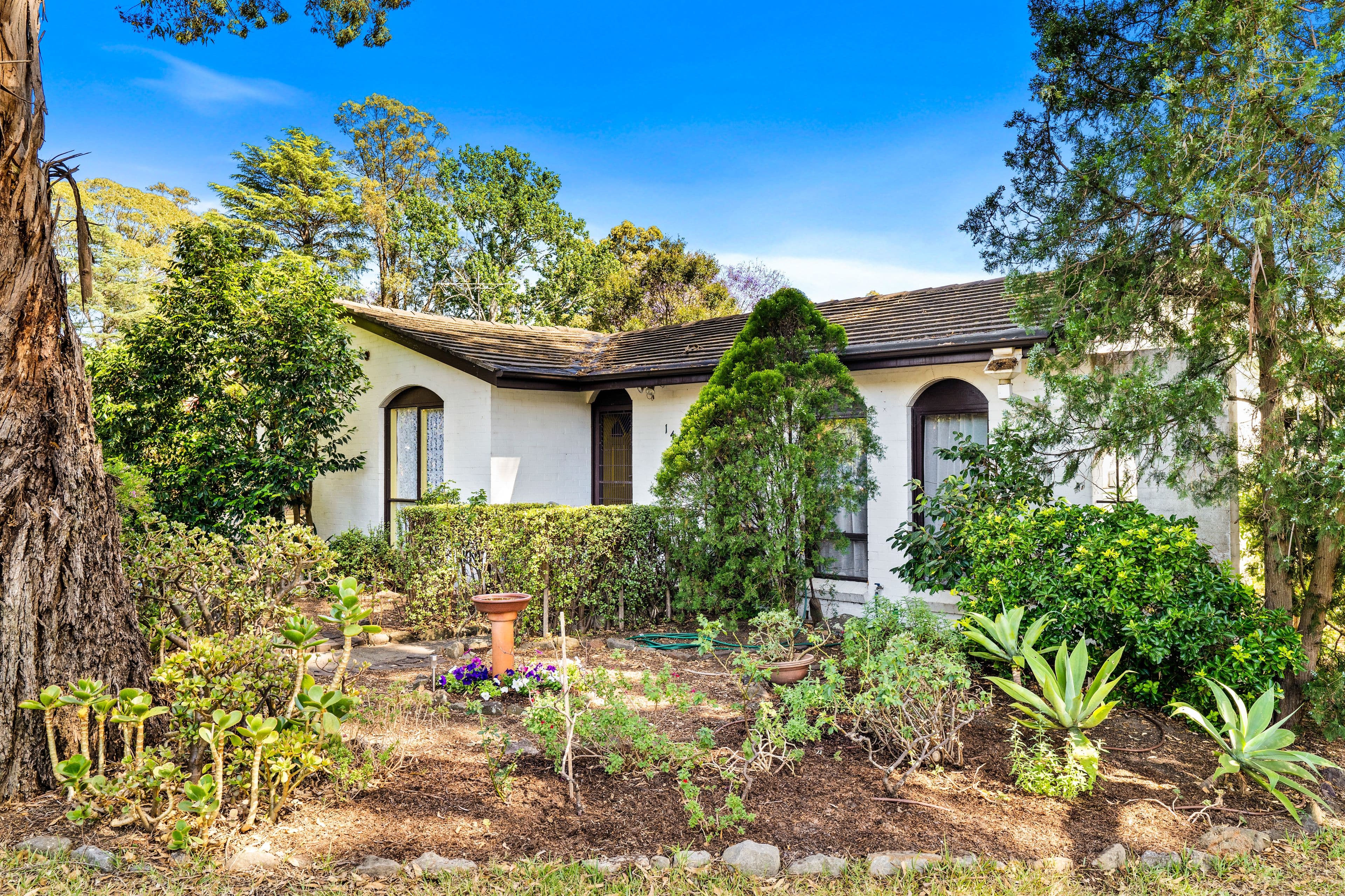 14 Merino Drive, Elderslie NSW 2570, Elderslie - Thumbnail 2