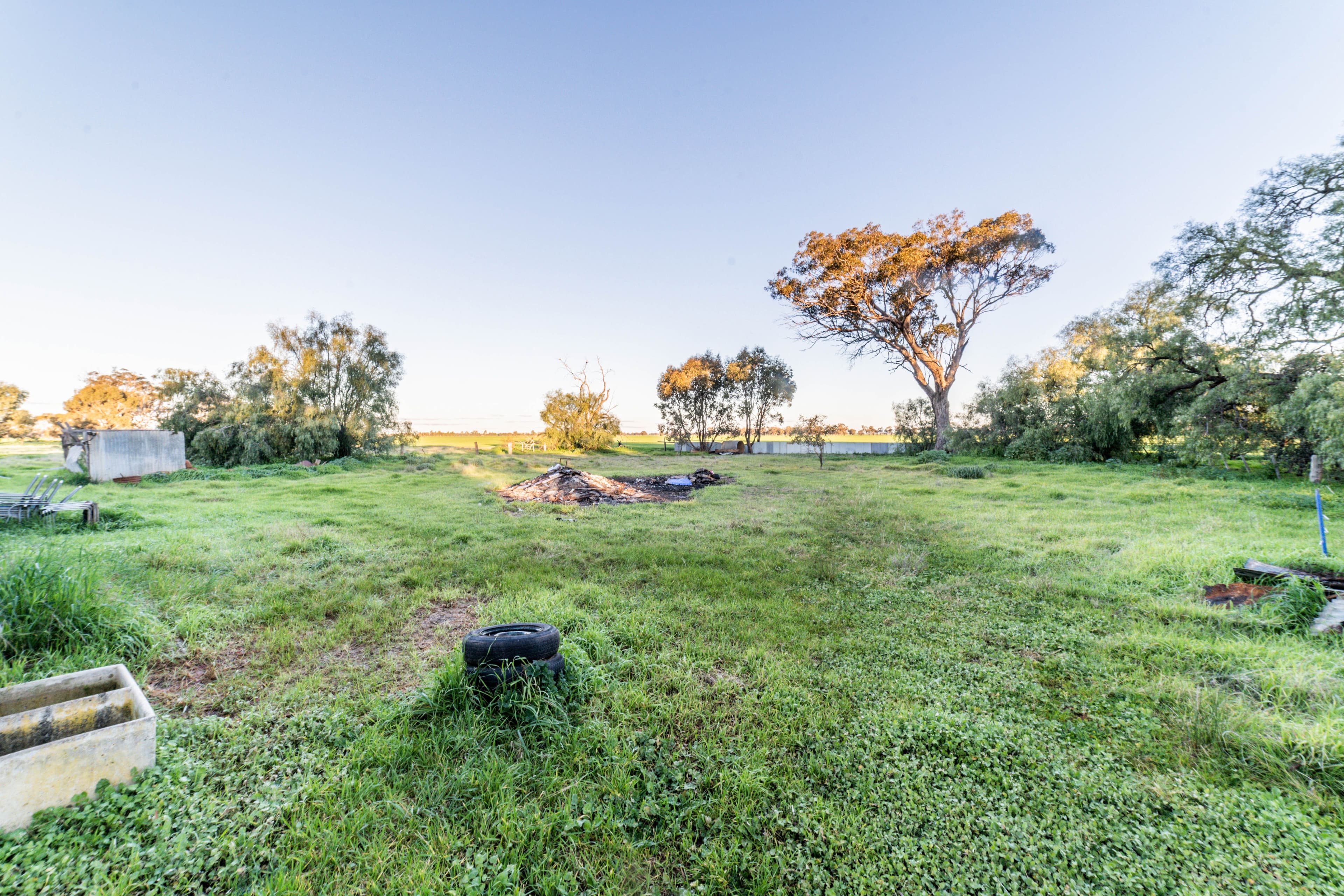 1667 Dingee Road, Diggora VIC 3561, Diggora - Thumbnail 8