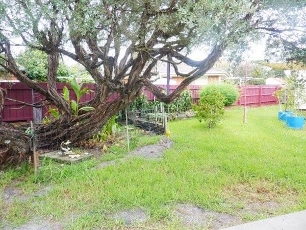 25 Pine Street, Frankston North VIC 3200, Frankston North - Thumbnail 5