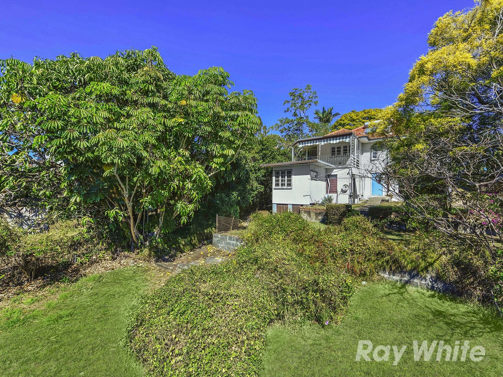 8 Longsight Street, Alderley QLD 4051, Alderley - Thumbnail 7