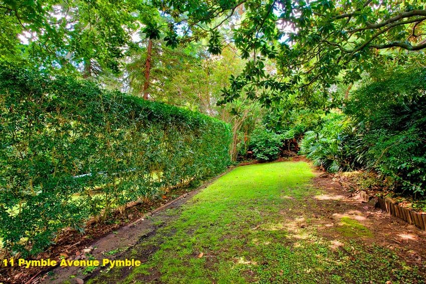 11 Pymble Avenue, PYMBLE NSW 2073, Pymble - Thumbnail 8