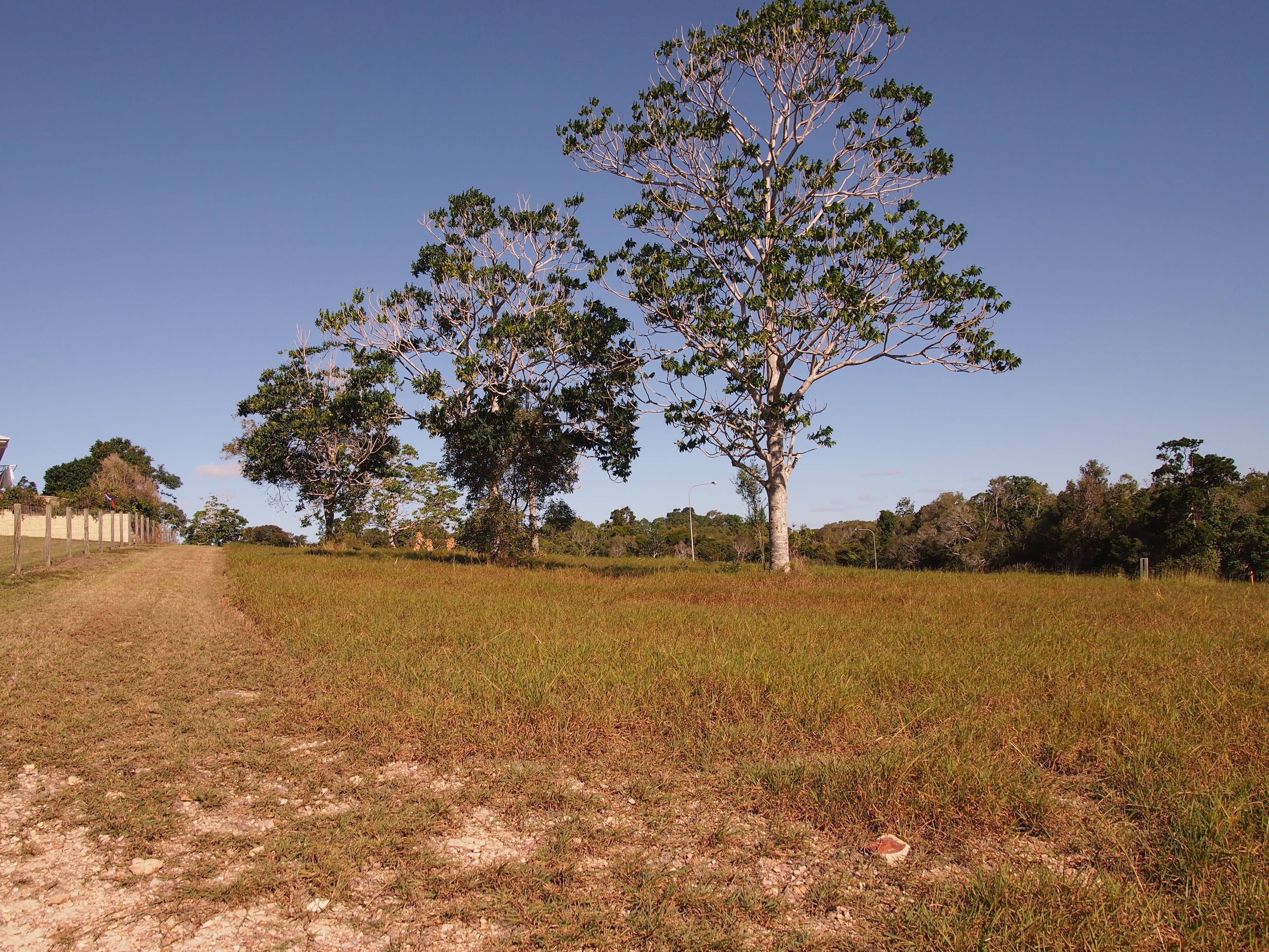 9 Woodgate Avenue, Craignish QLD 4655, Craignish - Thumbnail 3