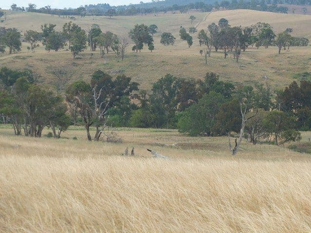 Lot 5 Mutton Falls Road, Oberon NSW 2787, Oberon - Thumbnail 2