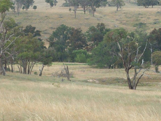 Lot 5 Mutton Falls Road, Oberon NSW 2787, Oberon - Thumbnail 5