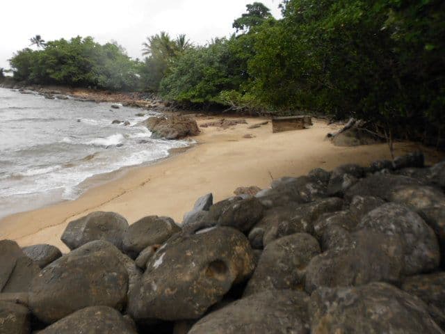 1 Elizabeth, Flying Fish Point QLD 4860, Flying Fish Point - Thumbnail 2