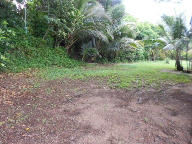 1 Elizabeth, Flying Fish Point QLD 4860, Flying Fish Point - Thumbnail 5