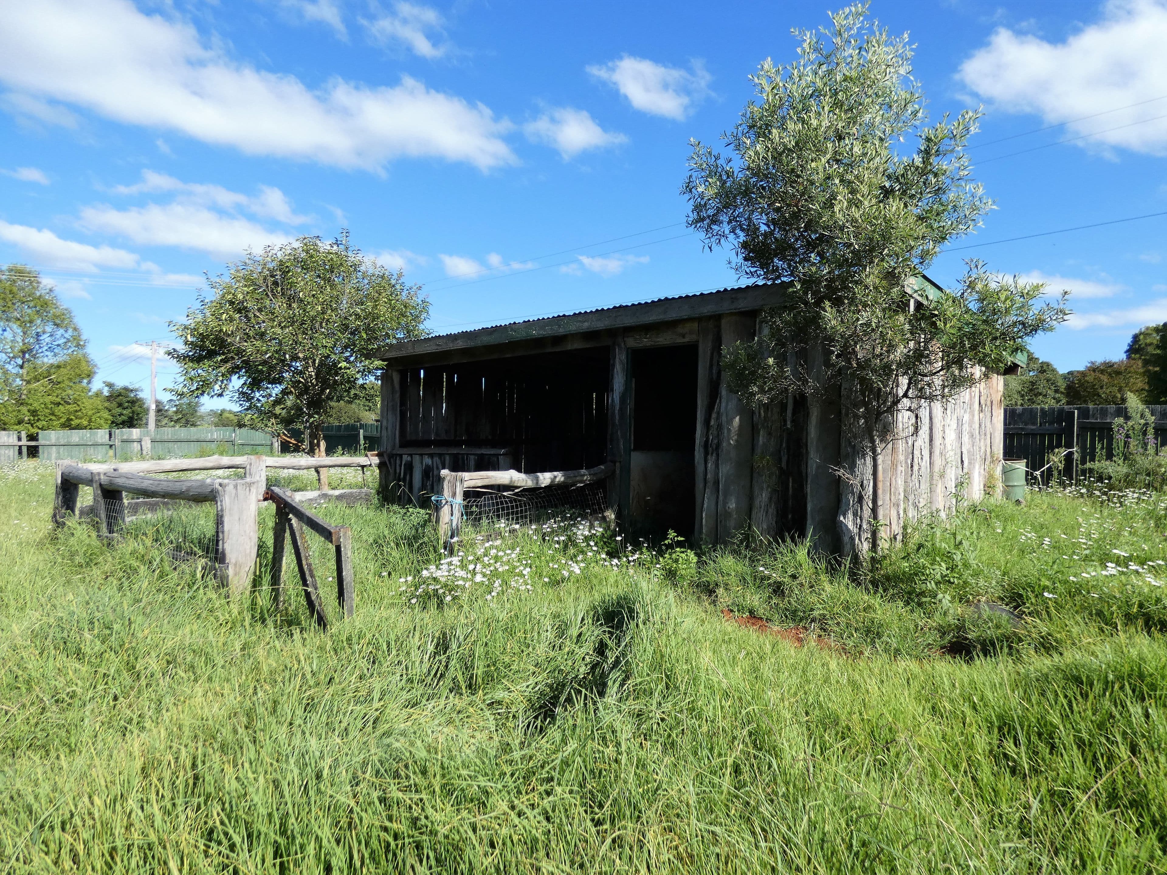 26 Church Street, Dorrigo NSW 2453, Dorrigo - Thumbnail 6
