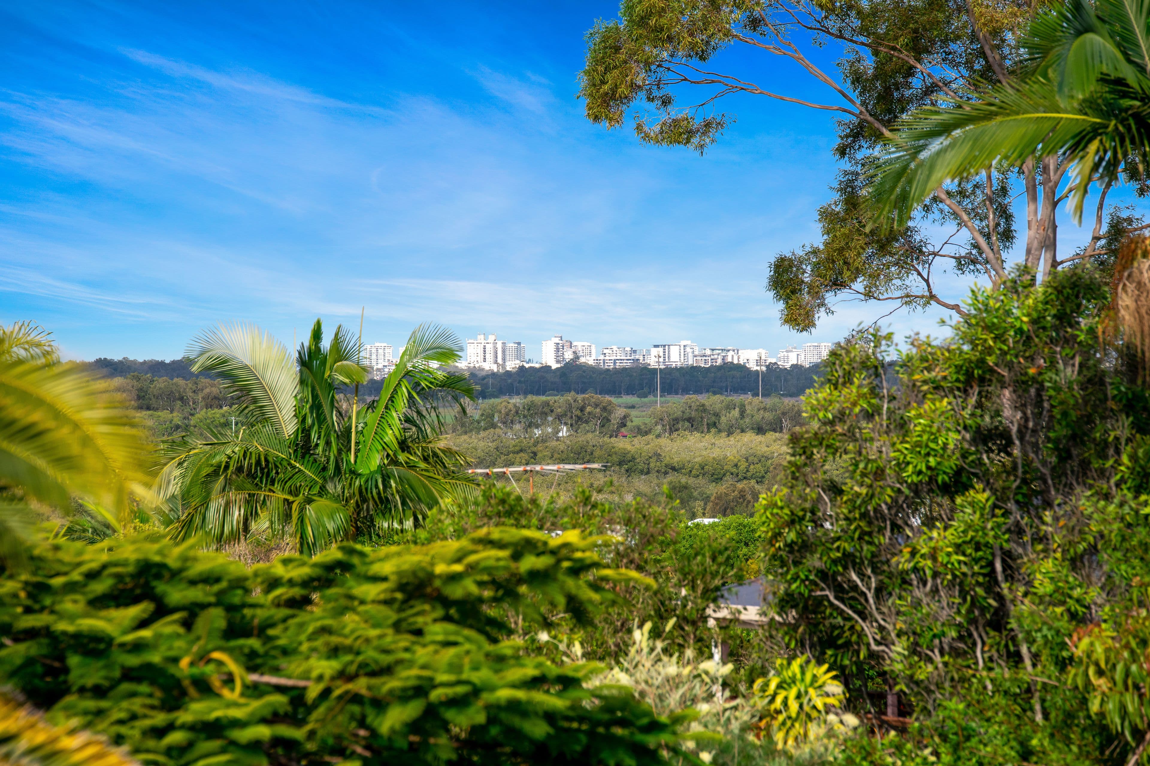 5 Whistler Street, Bli Bli QLD 4560, Bli Bli - Thumbnail 6