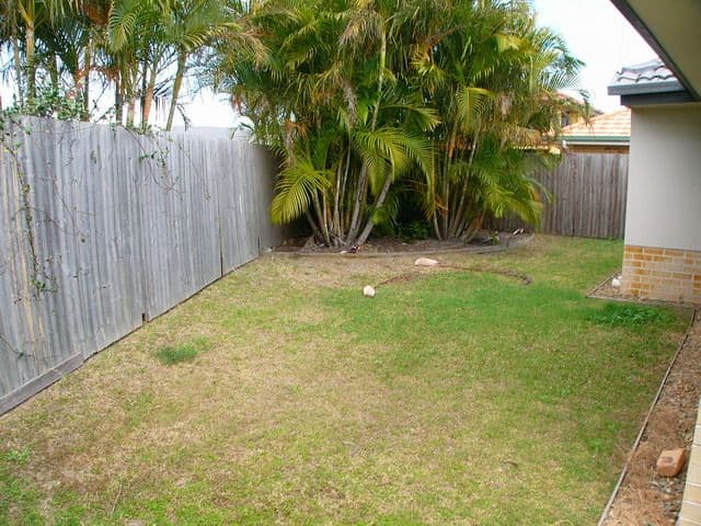 67 Williams Street, WAKERLEY QLD 4154, Wakerley - Thumbnail 8