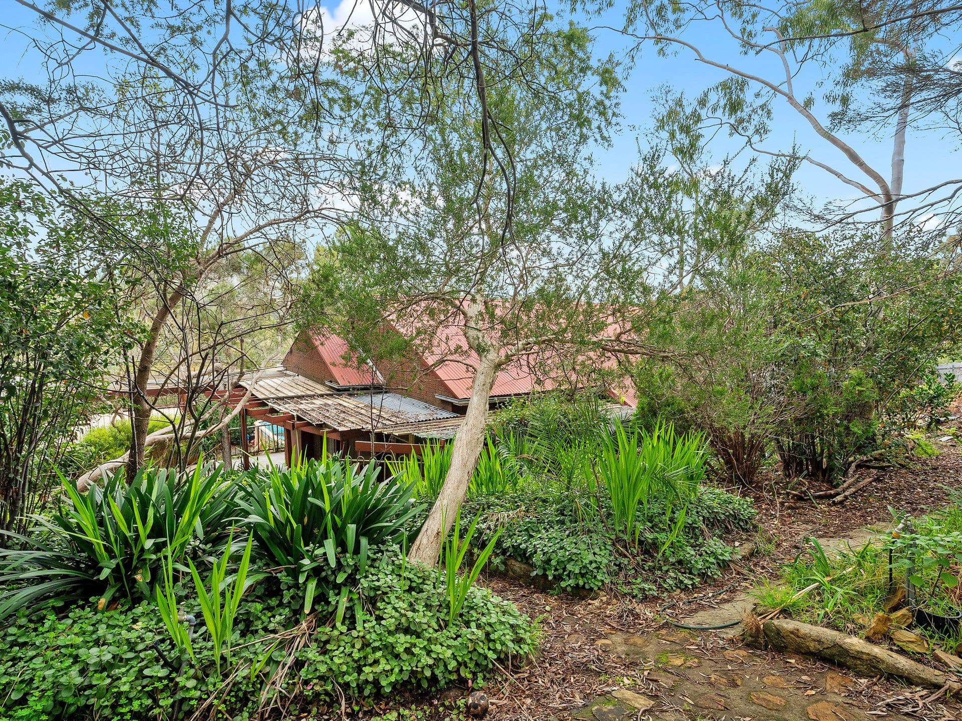 31 Sycamore Crescent, Hawthorndene SA 5051, Hawthorndene - Image 1