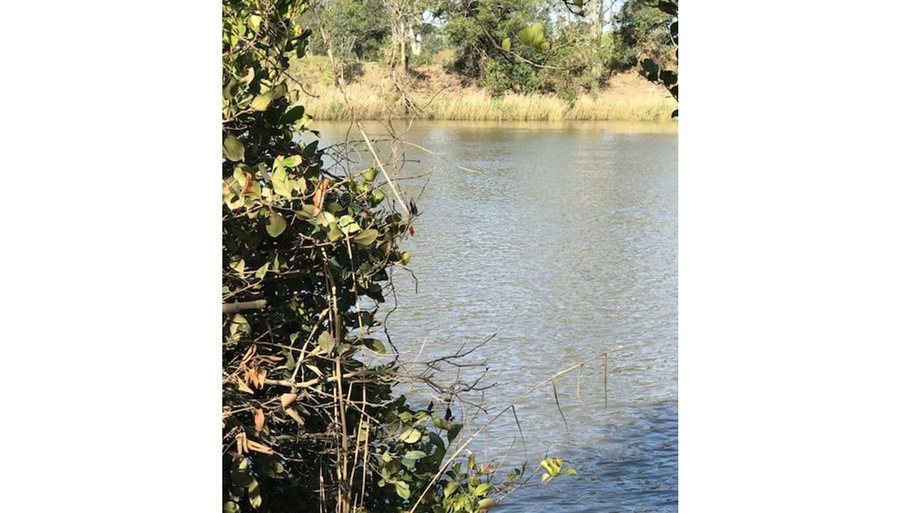 Bethania QLD 4205, Bethania - Image 1