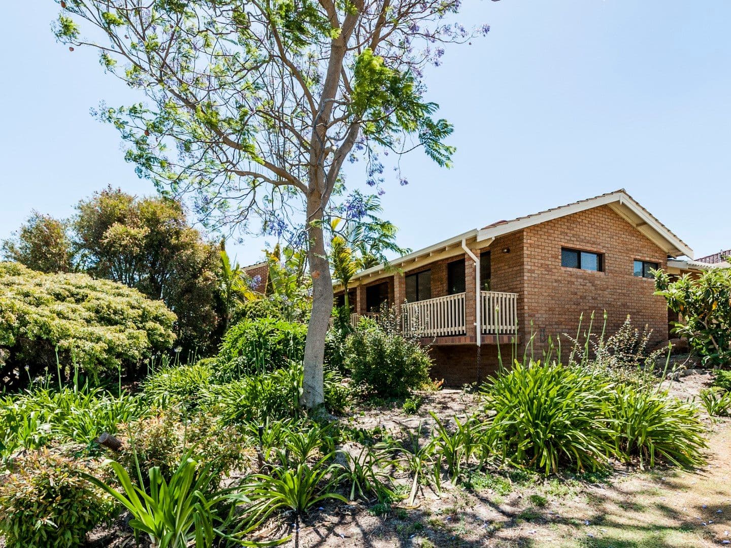 37 Bangalay Way, Dianella WA 6059, Dianella - Thumbnail 3