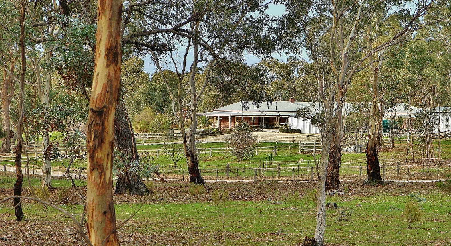 61 Whiskey Island Drive, Eppalock VIC 3551, Eppalock - Thumbnail 5