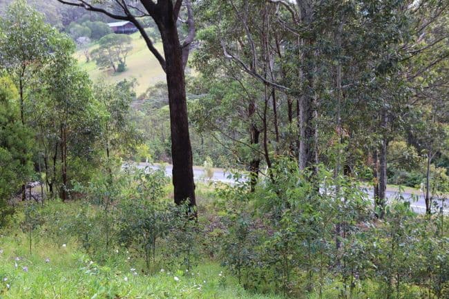 17A Beachview Close, NORTH NAROOMA NSW 2546, North Narooma - Thumbnail 4