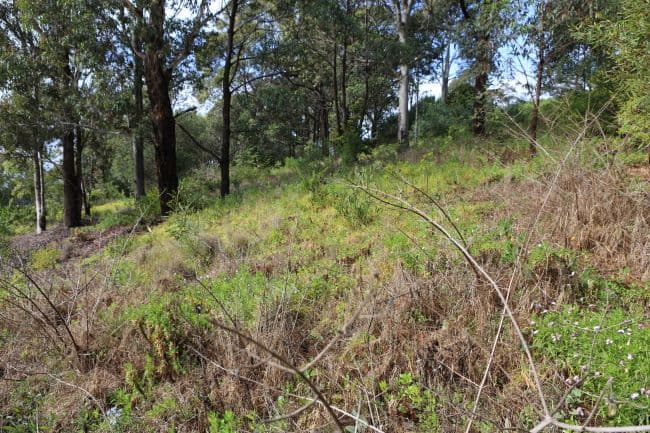 17A Beachview Close, NORTH NAROOMA NSW 2546, North Narooma - Thumbnail 7