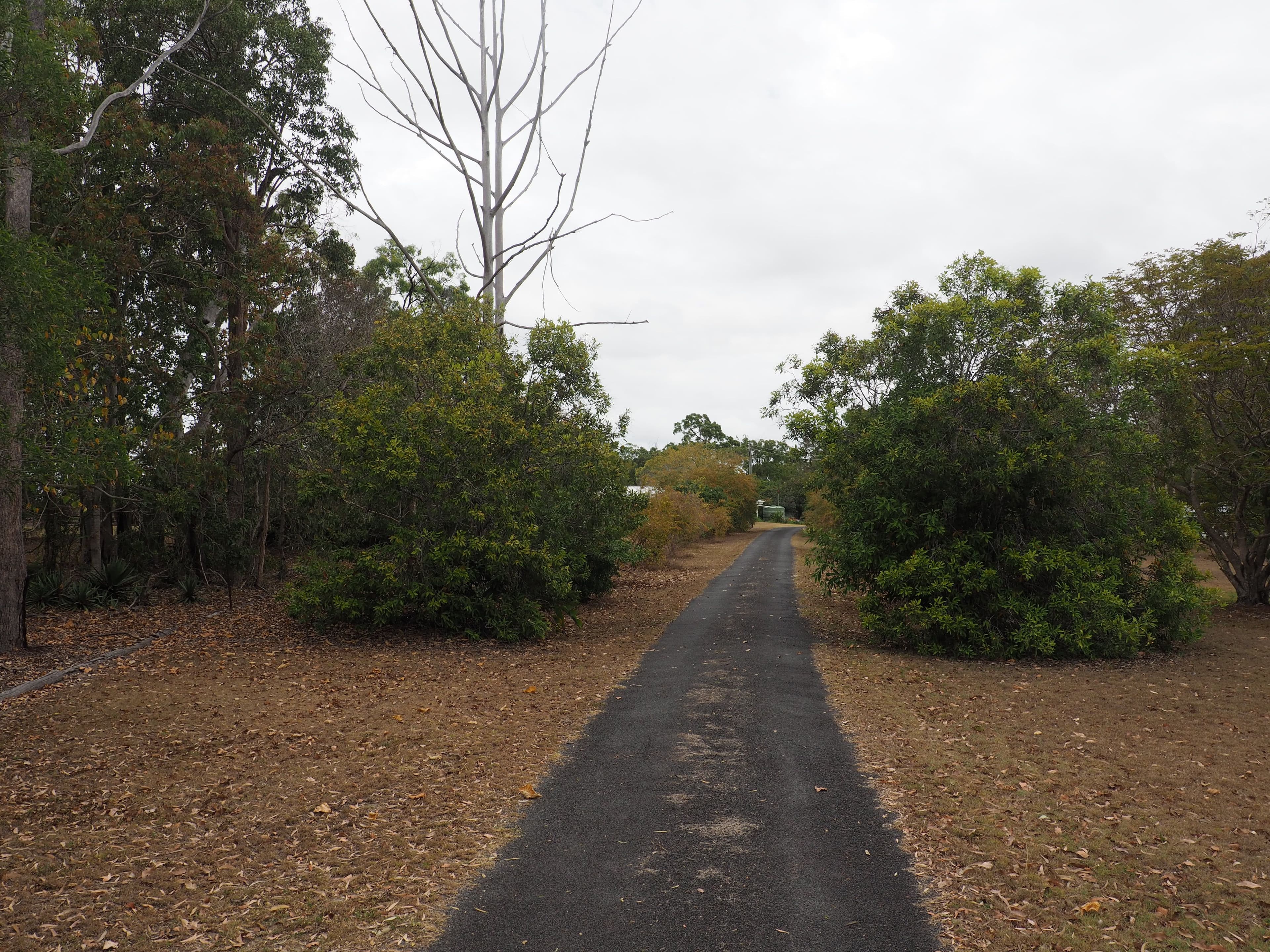 119 Langer Road, Bidwill QLD 4650, Bidwill - Thumbnail 5