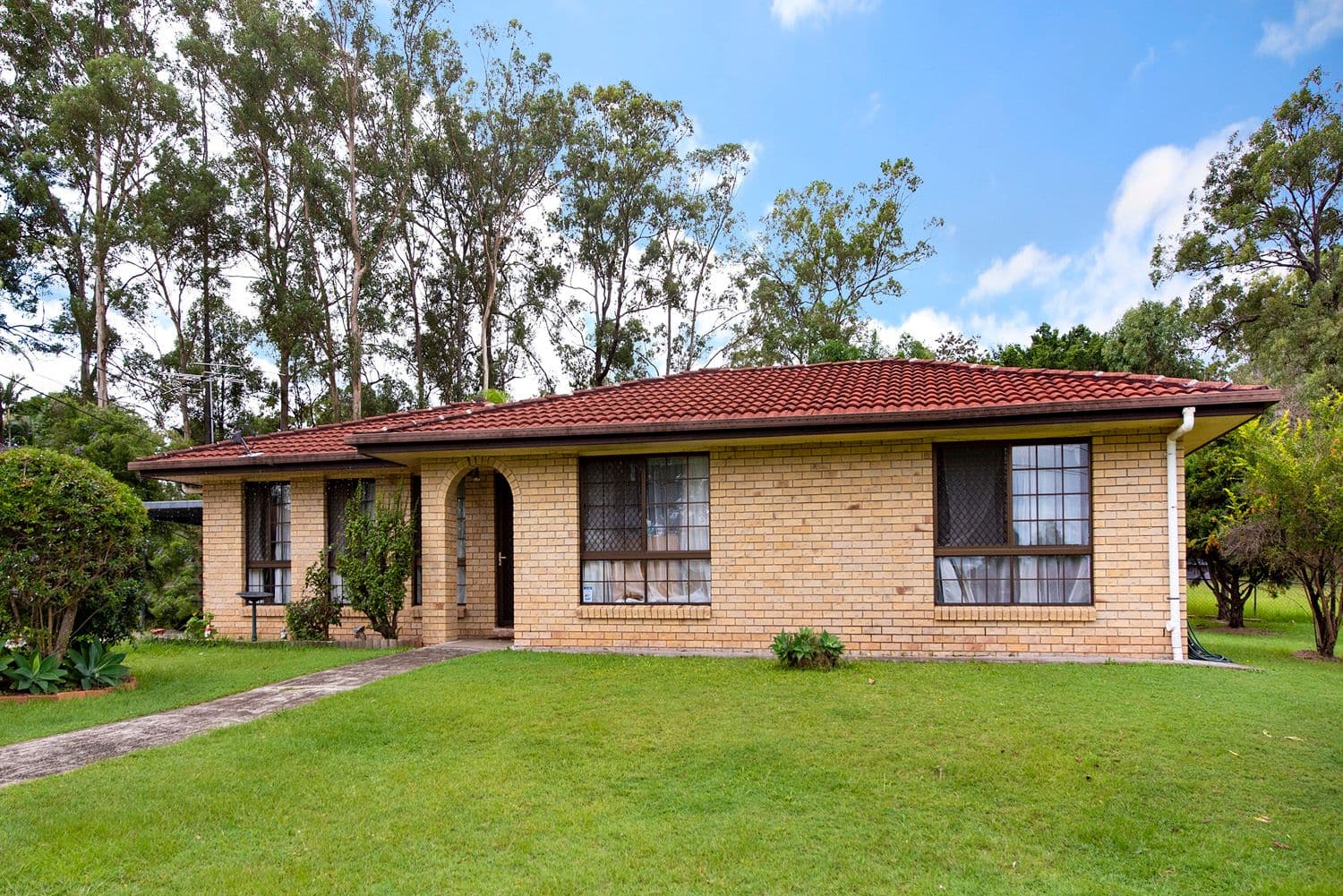 29 Anchusa Street, Kingston QLD 4114, Kingston - Thumbnail 3