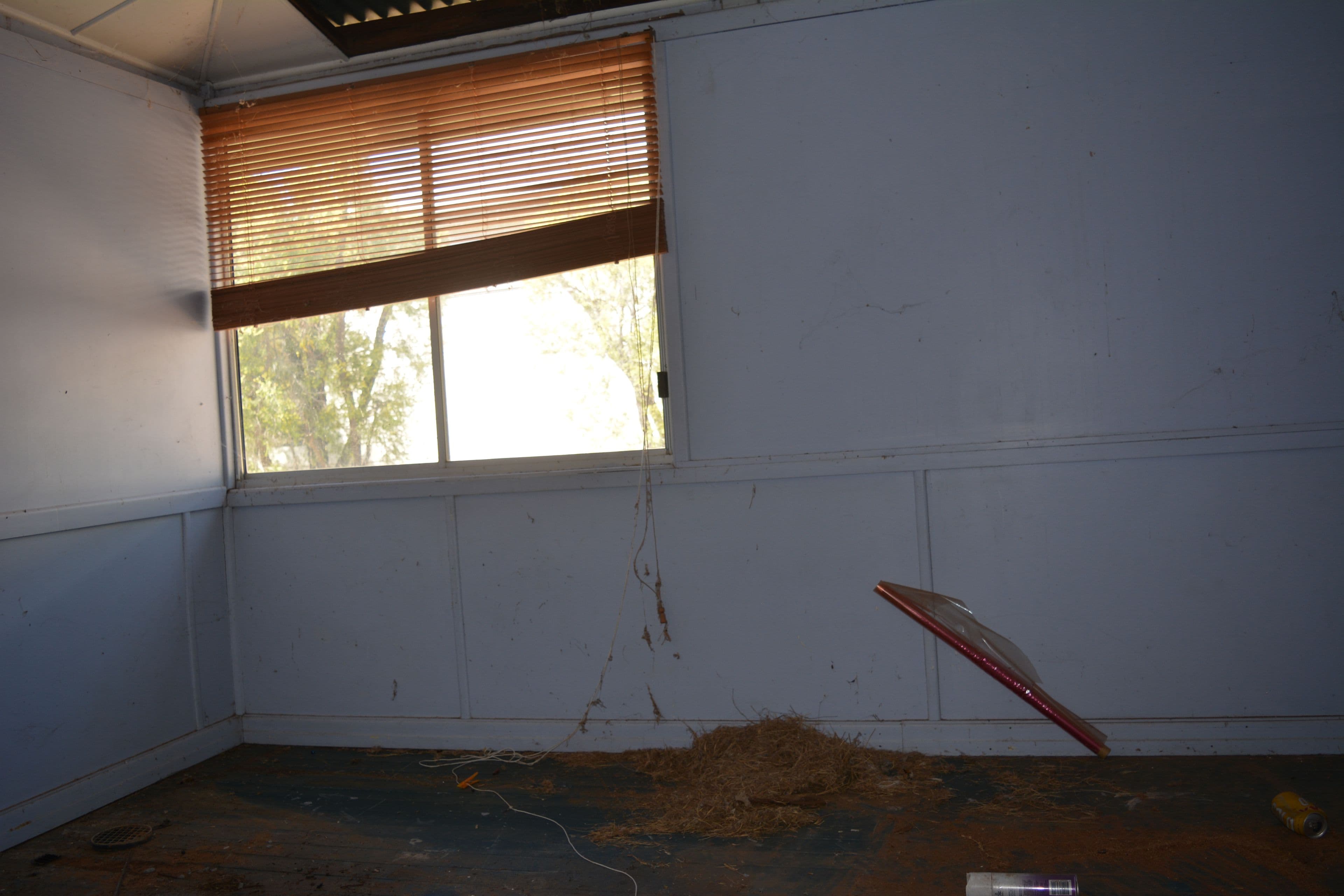 43 Thistle Street, Blackall QLD 4472, Blackall - Thumbnail 7