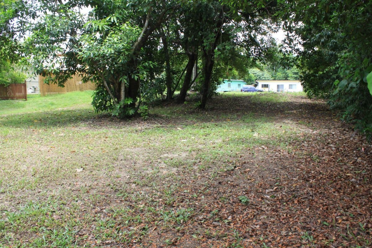 4 Esplanade, Wonga Beach QLD 4873, Wonga Beach - Thumbnail 4