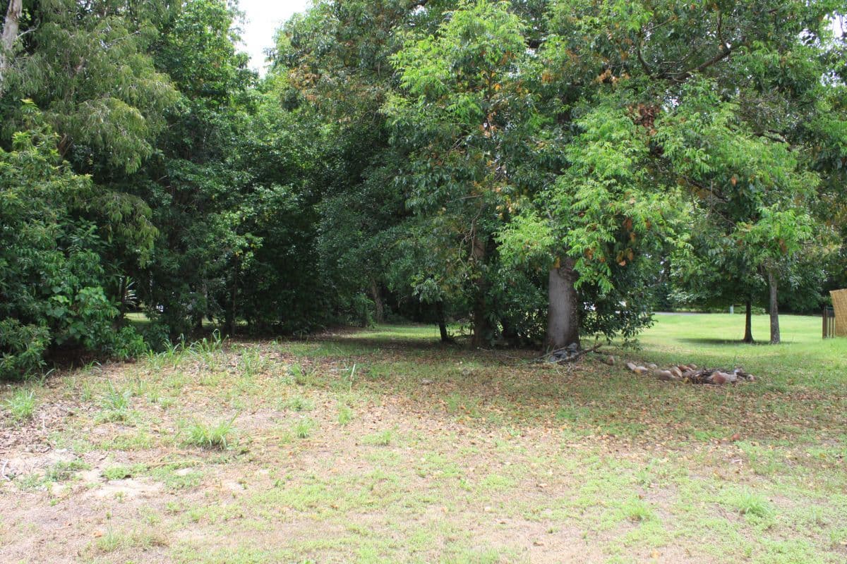4 Esplanade, Wonga Beach QLD 4873, Wonga Beach - Thumbnail 5