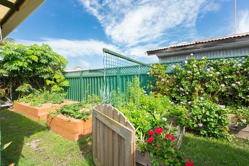 8 Sassafras Avenue, Windang NSW 2528, Windang - Thumbnail 7