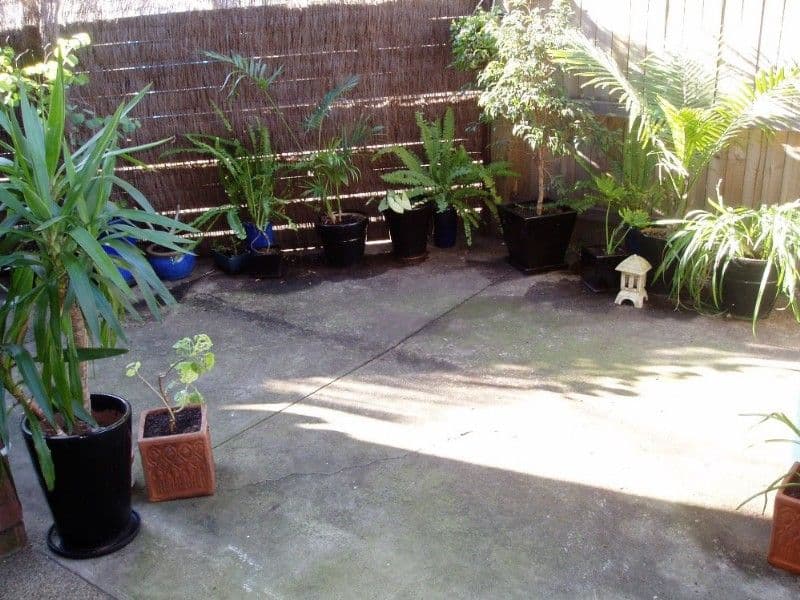 52 Linville Road, MOORE, QLD, 4314, Moore - Thumbnail 4