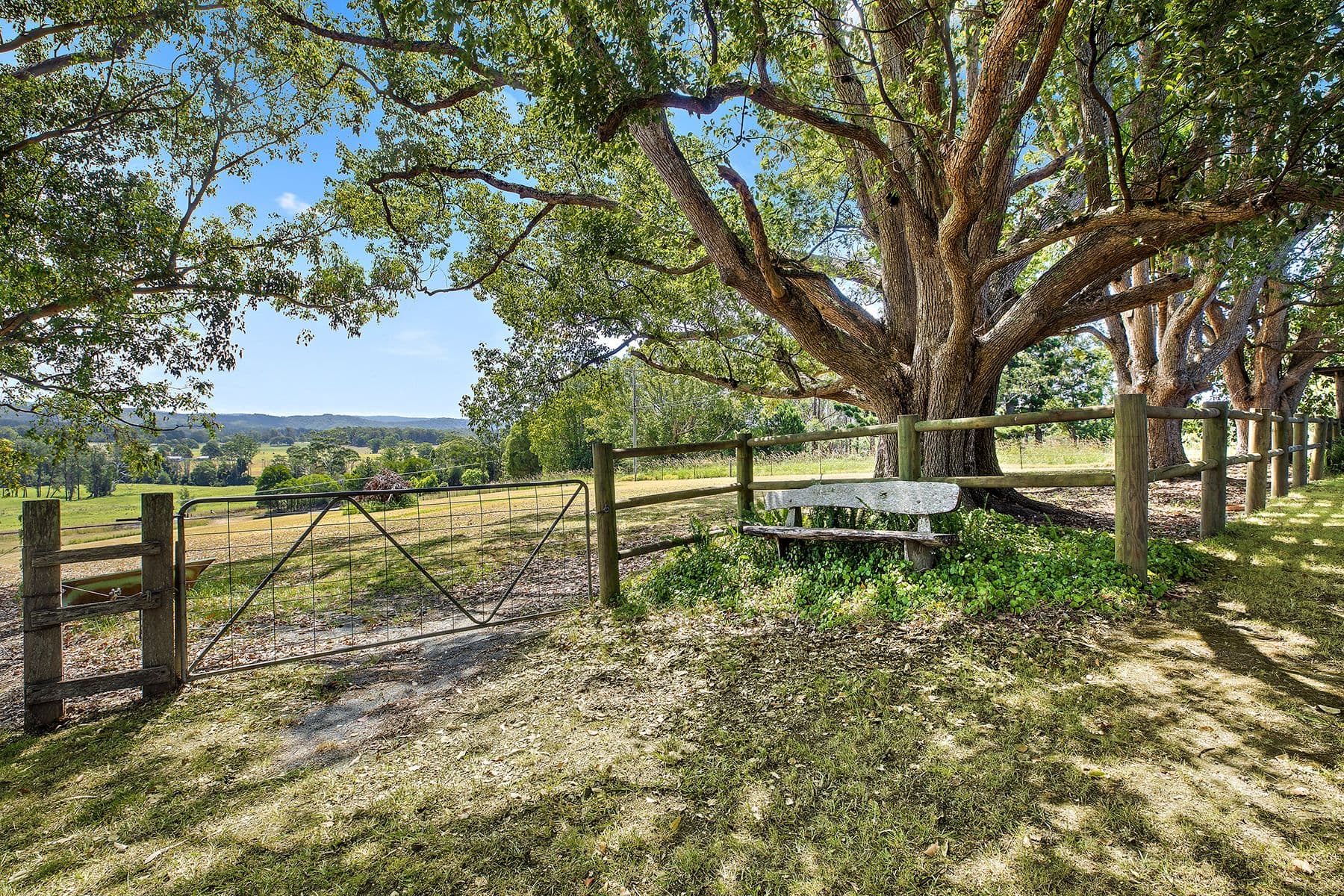 1020 East Bank Road, Nana Glen - Thumbnail 4