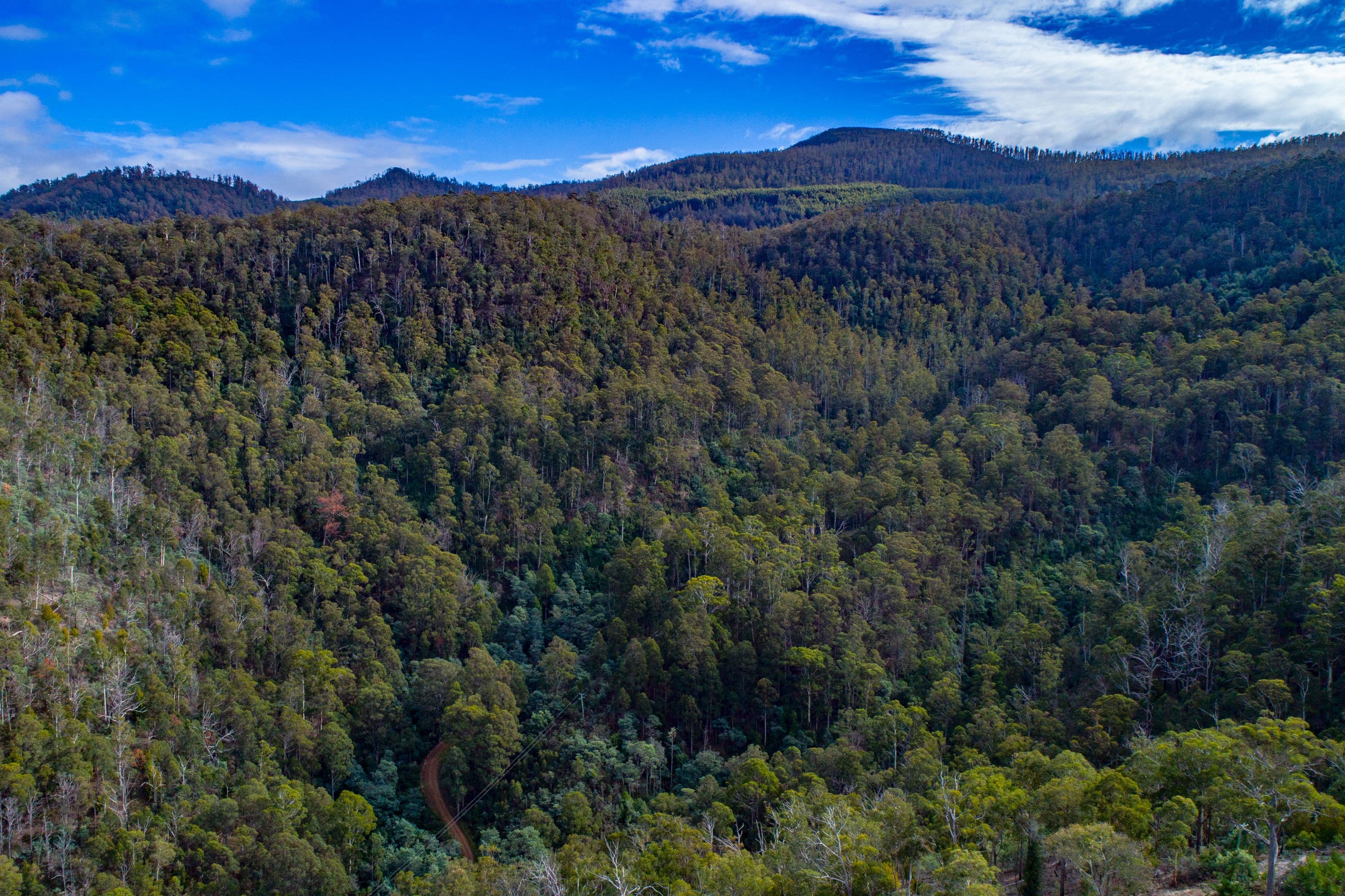 869 Back River Road, Magra TAS 7140, Magra - Thumbnail 2