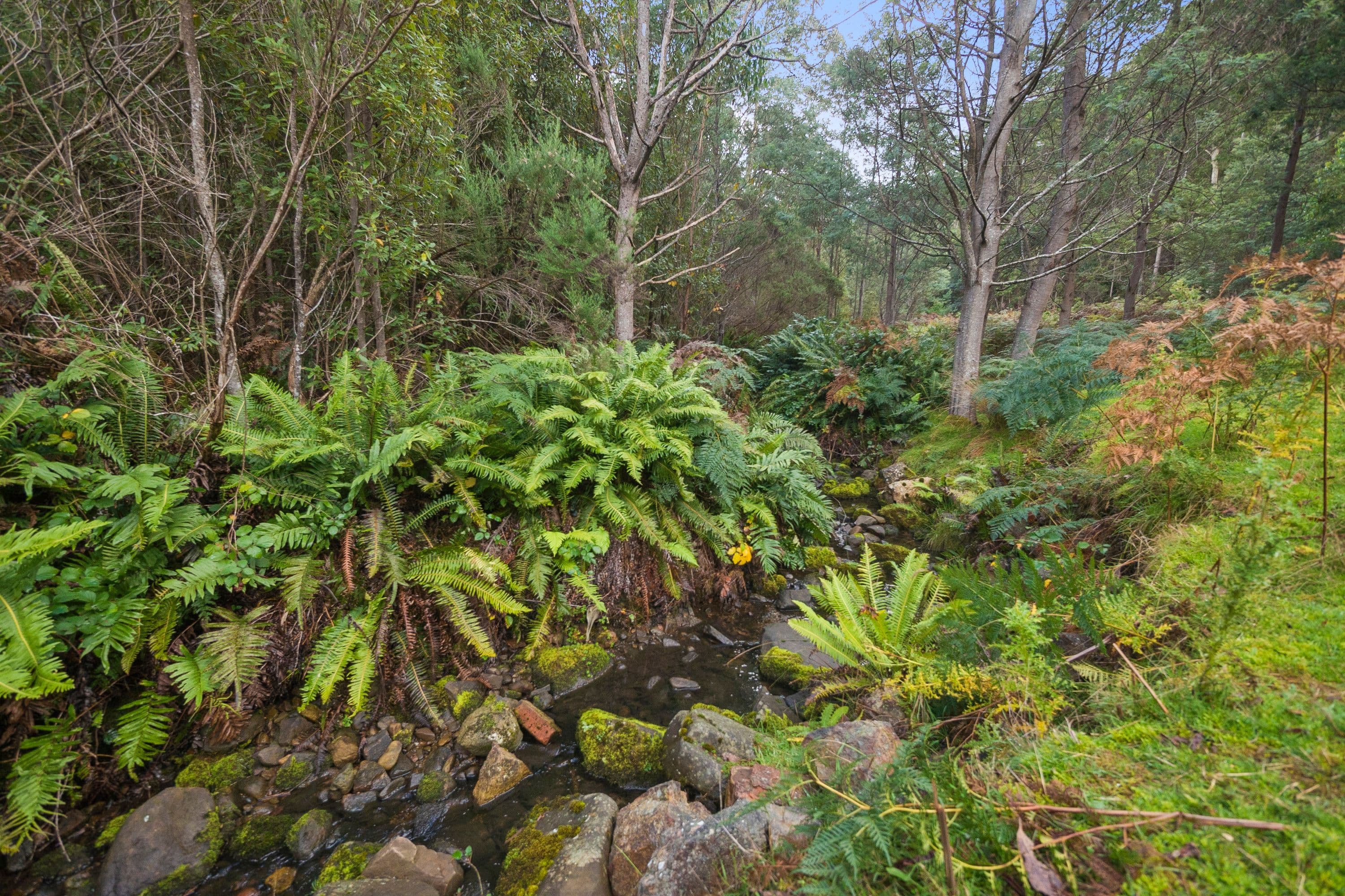 869 Back River Road, Magra TAS 7140, Magra - Thumbnail 6