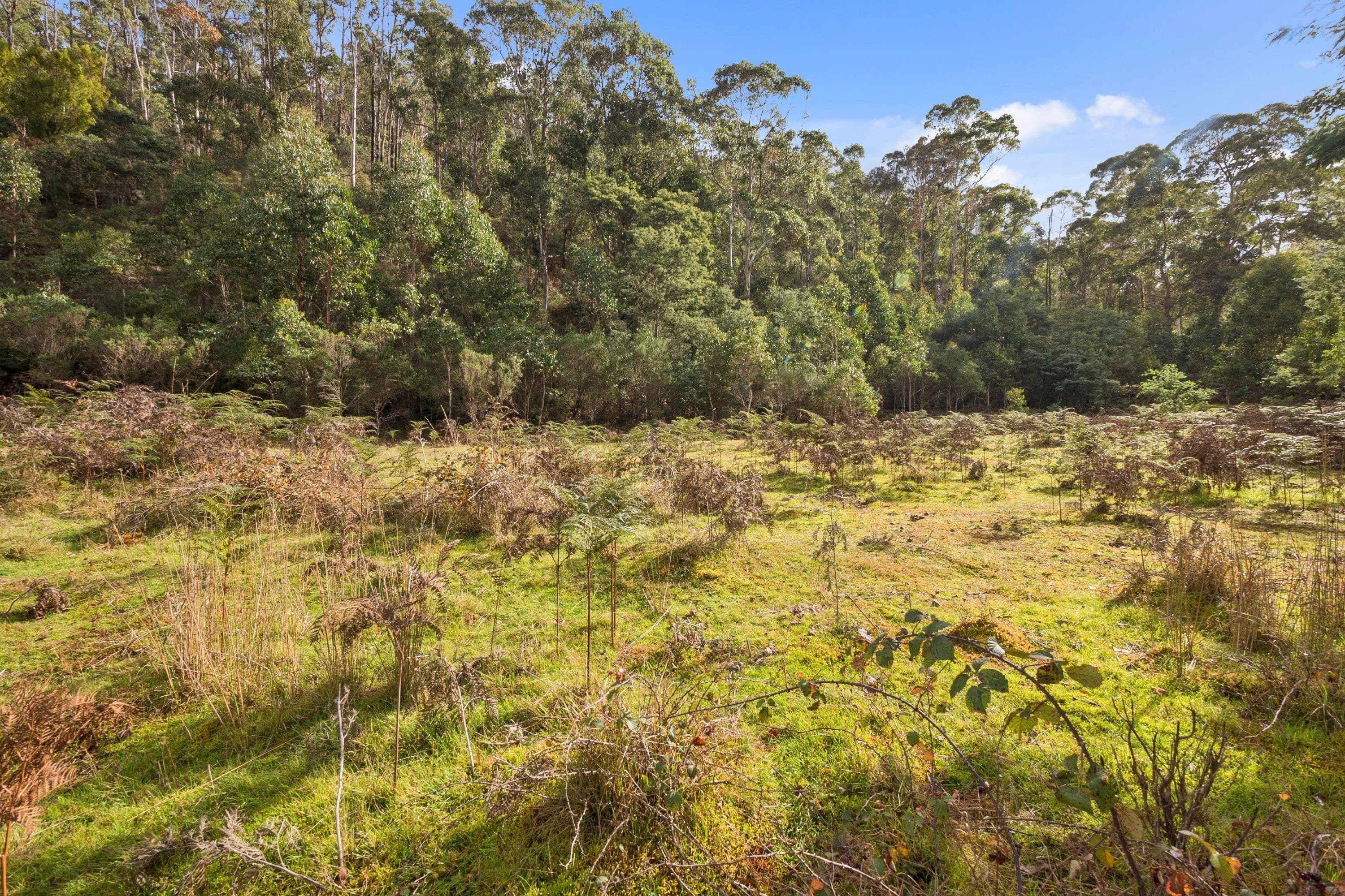 869 Back River Road, Magra TAS 7140, Magra - Thumbnail 7