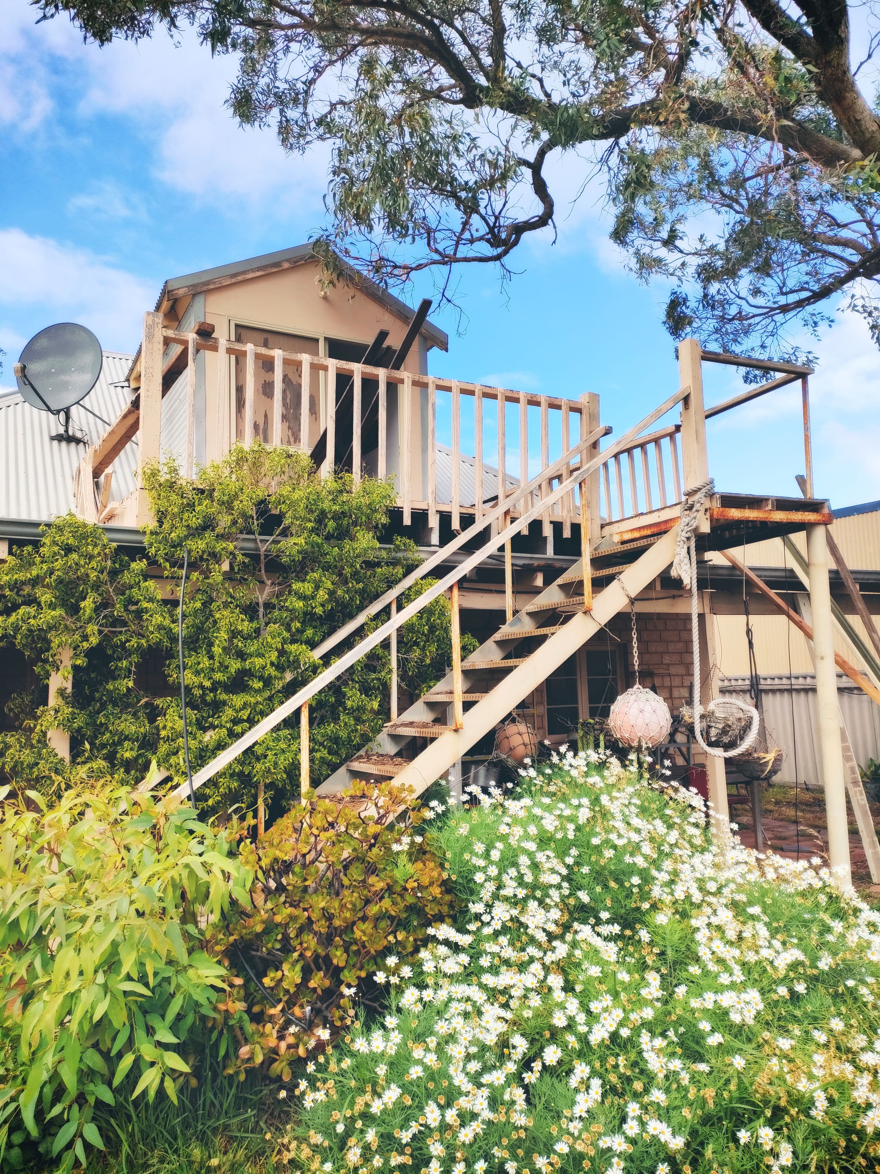 4 Grigson Street, Green Head WA 6514, Green Head - Thumbnail 4