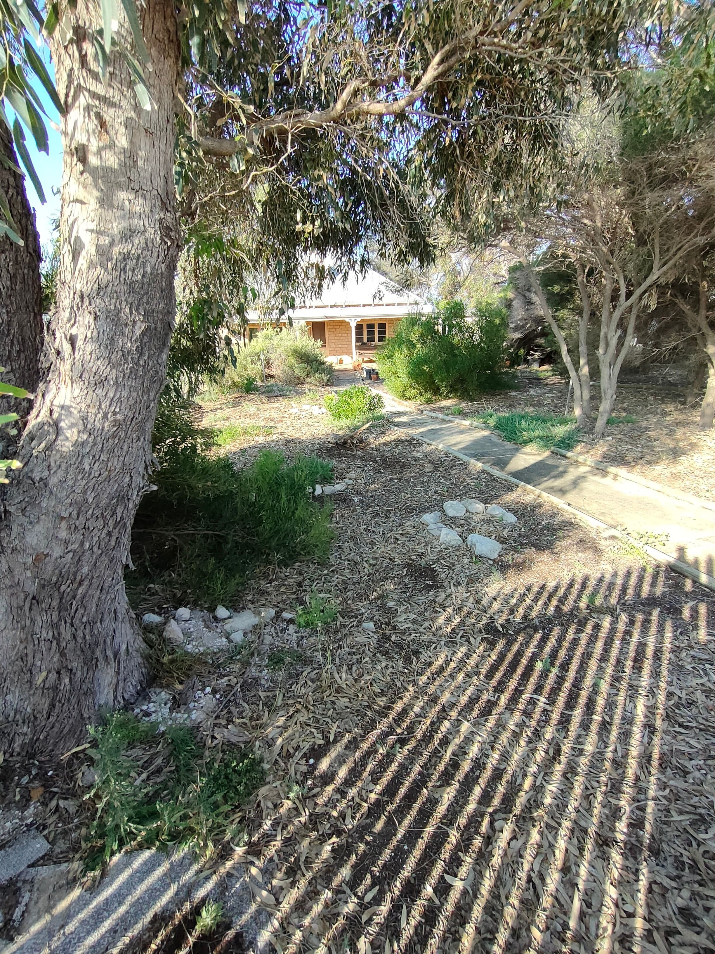 4 Grigson Street, Green Head WA 6514, Green Head - Thumbnail 6