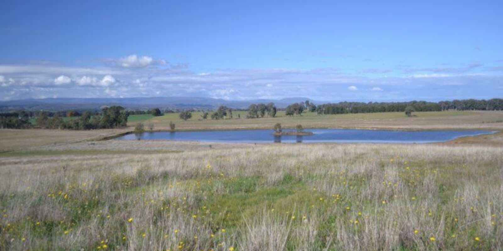 Lot 99 Coppabella Road Rosewood, Rosewood - Thumbnail 2
