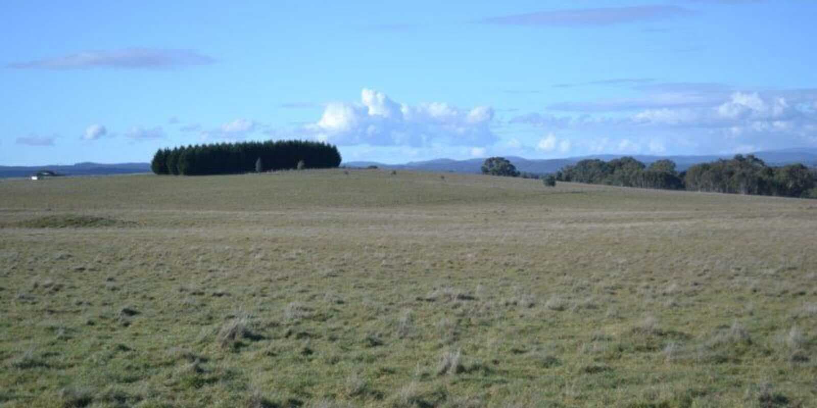 Lot 99 Coppabella Road Rosewood, Rosewood - Thumbnail 5