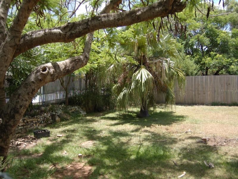 24 Patmar Street, STRATHPINE QLD 4500, Strathpine - Thumbnail 2