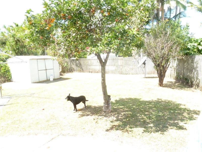 5 Forsyth Street, WEST MACKAY QLD 4740, West Mackay - Thumbnail 5