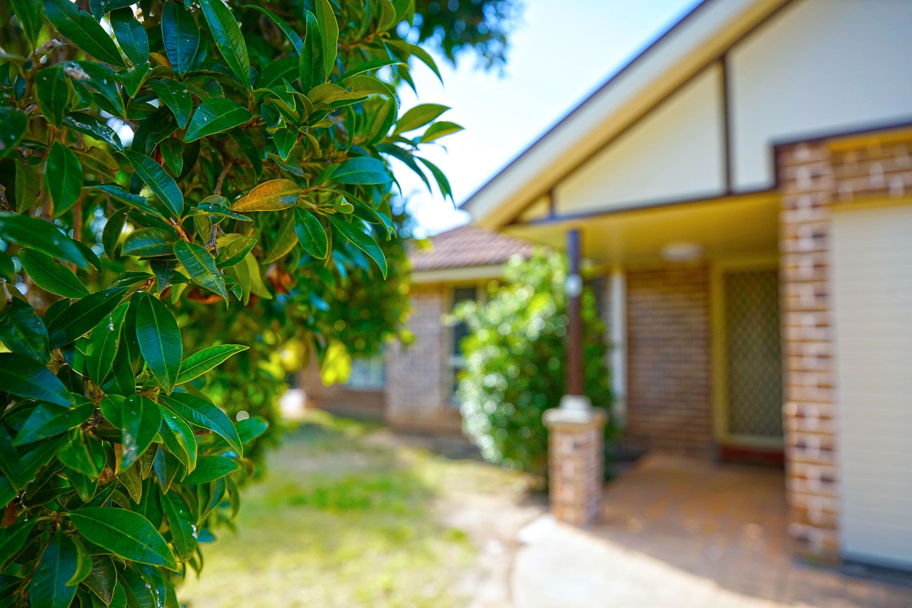 113 The Lakes Drive, Glenmore Park - Thumbnail 2
