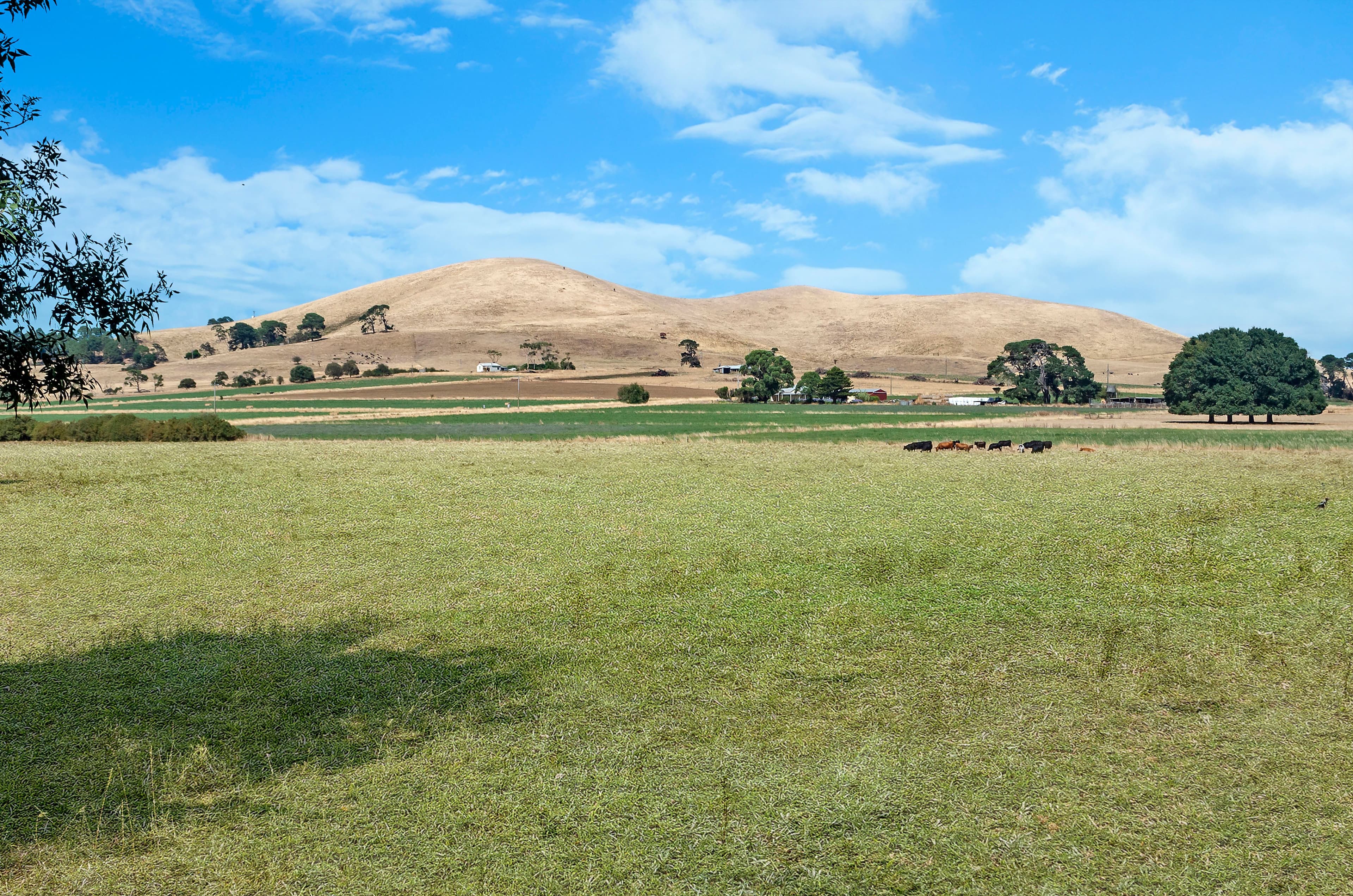 392 Blacks Road, Glenormiston South VIC 3265, Glenormiston South - Thumbnail 7
