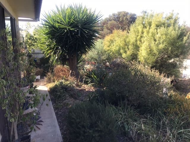 2 Harriet Street, Wallaroo SA 5556, Wallaroo - Thumbnail 8